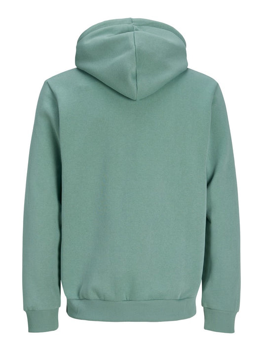JJEBRADLEY SWEAT ZIP HOOD NOOS