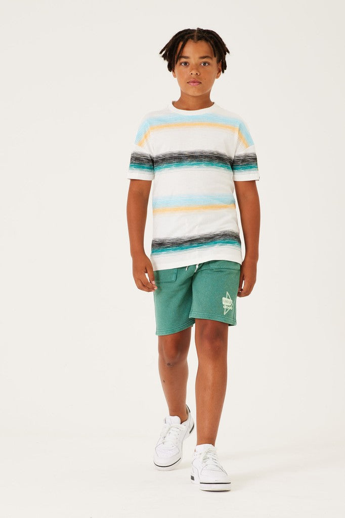 D33603_boys T-shirt ss