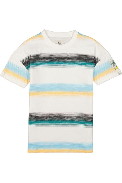 D33603_boys T-shirt ss