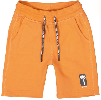 D55521_boys short