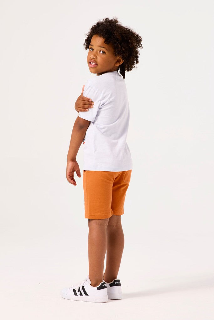 D55405_boys T-shirt ss