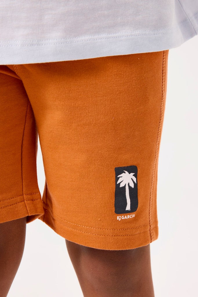 D55521_boys short