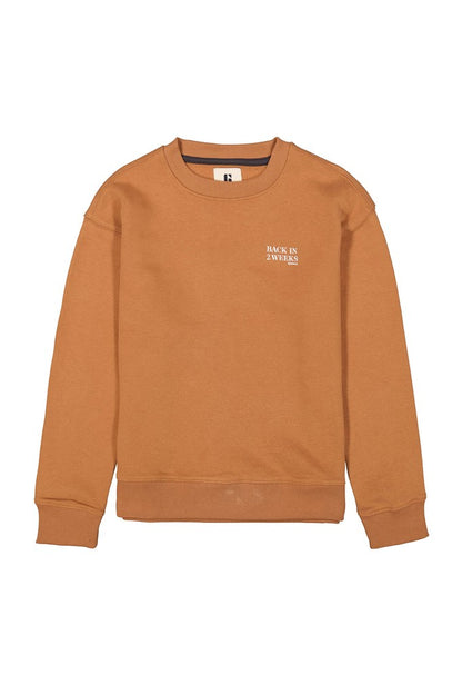 I53660_boys sweat