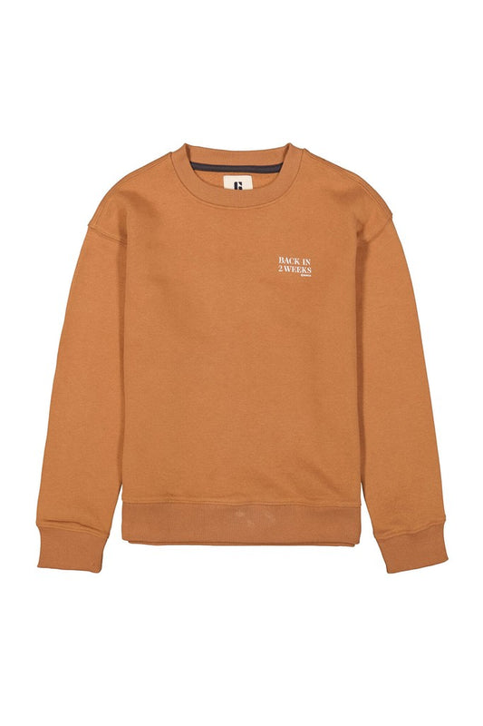 I53660_boys sweat
