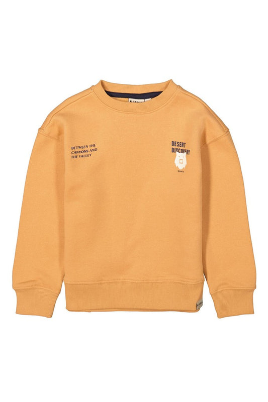 I55664_boys sweat