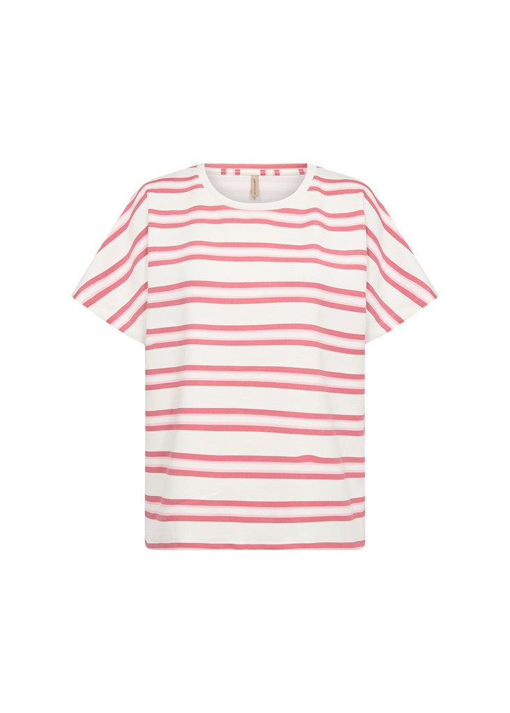 SC-BARNI 50