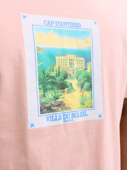 JORCASSIS GRAPHIC TEE SS CREW NECK