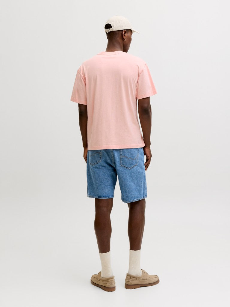 JORCASSIS GRAPHIC TEE SS CREW NECK