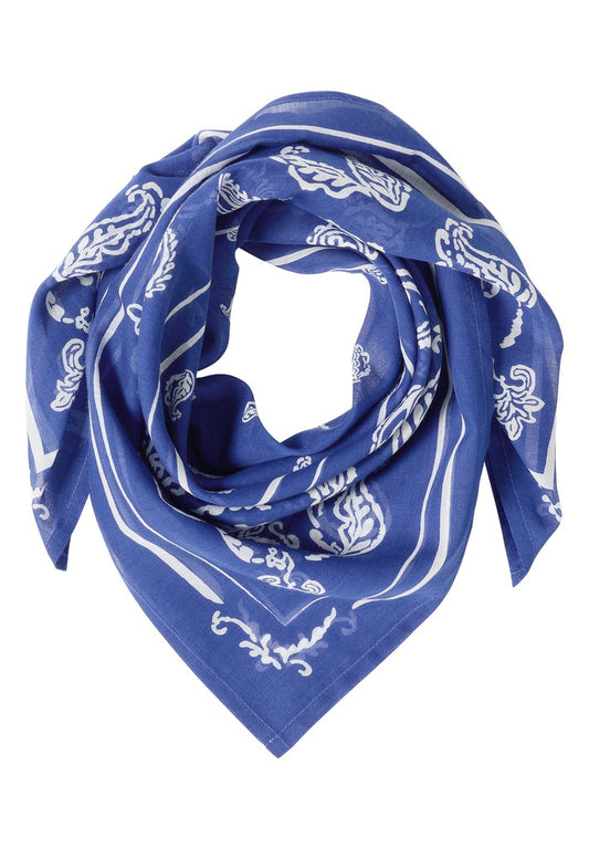 Paisley Print Bandana