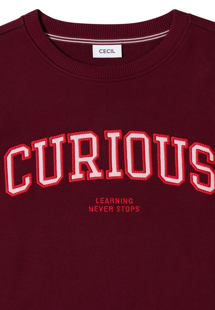 TOS Sweatshirt with Embroidery